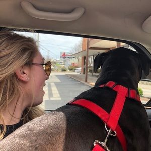 Meet your Posher, Casey